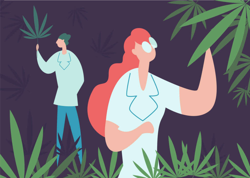 Revolutionizing Cannabis Genetics with CRISPR